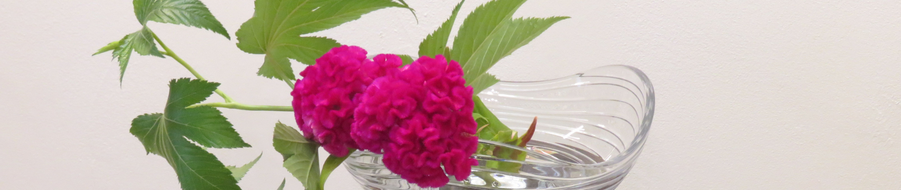 メニュー＆プライス